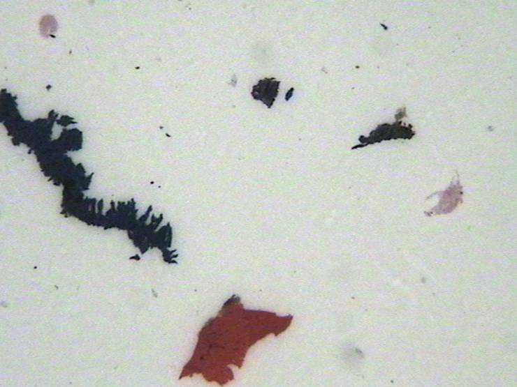 Auflichtaufnahme mit Polarisation in Sperrrichtung