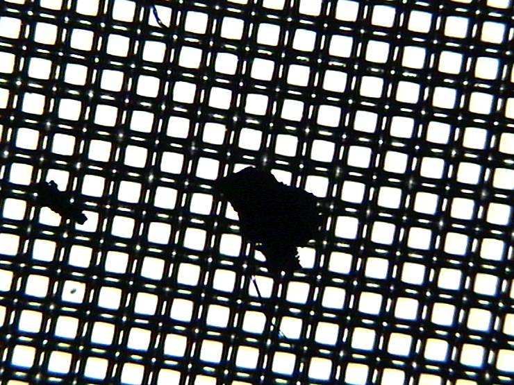 Durchlicht Polyestergitter-Filter