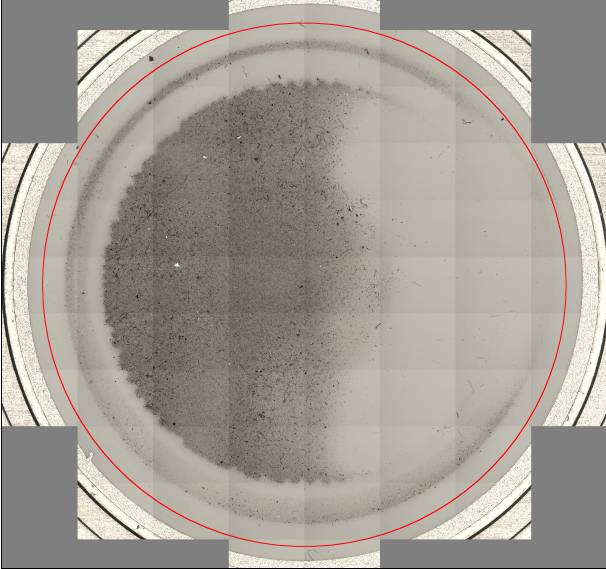 Electronic archiving of complete filter scans