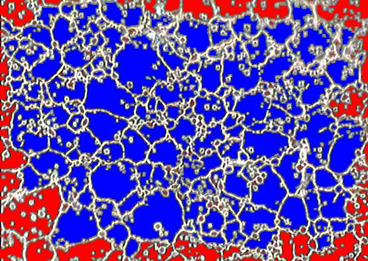 blue = counted grains