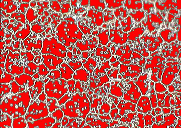 marked grains