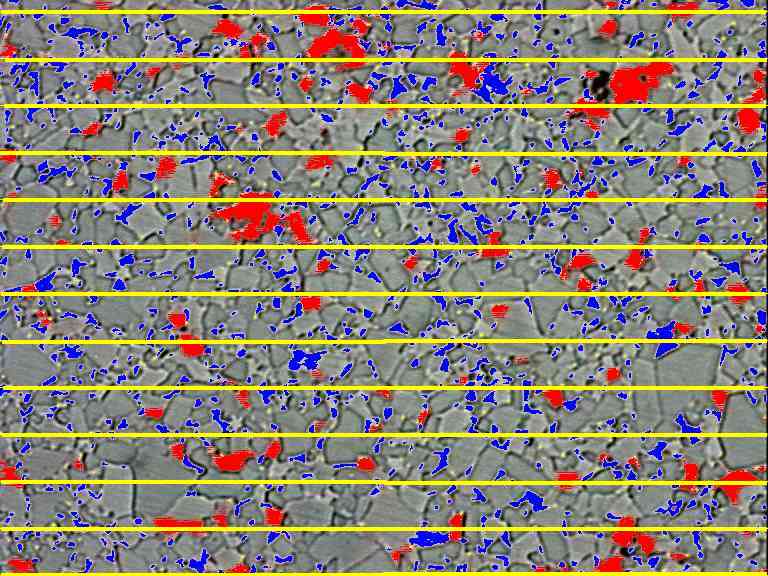 Linear Intercept Auswertung