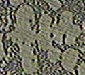 Dendriten in Aluminiumguss