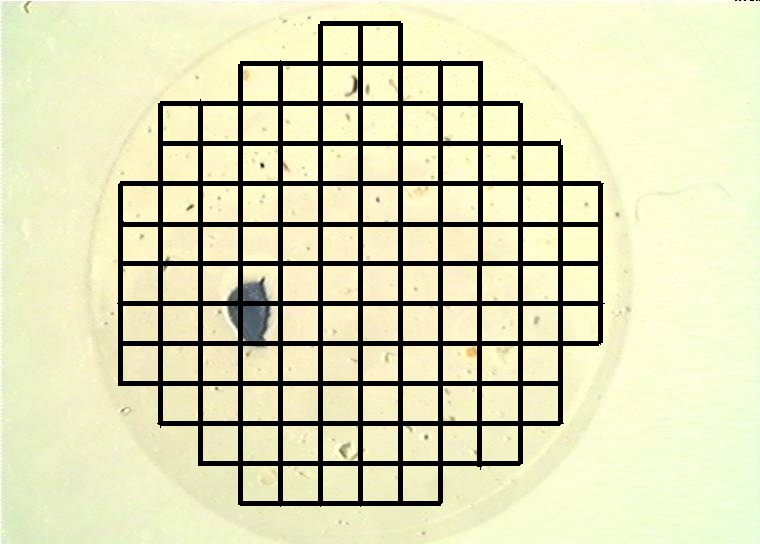 Segment Scan
